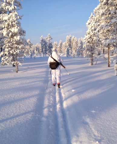 Mycket starka krafter arbetar aktivt för att begränsa möjligheten till att bruka naturen, inte minst begränsa brukandet av skogen.