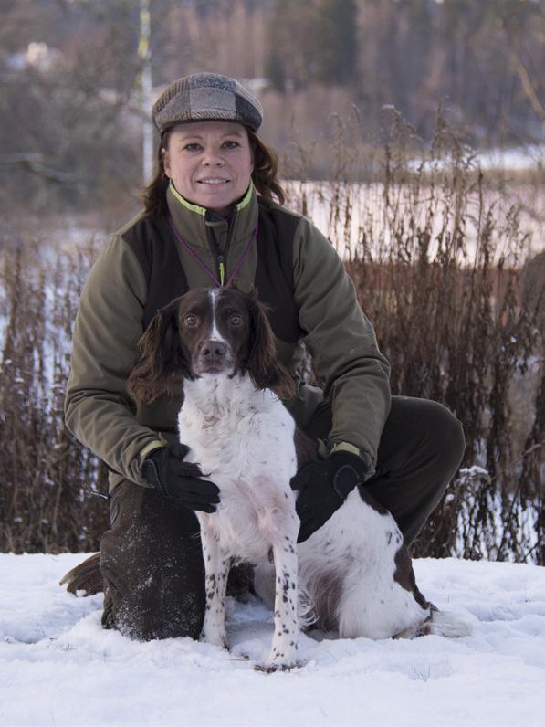 Tre gånger har SE J(J)CH Fågeljägarens Common Tern Tärna vunnit SM för springer spaniel tillsammans med matte