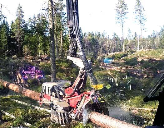 Arbetsrapport Från Skogforsk nr.