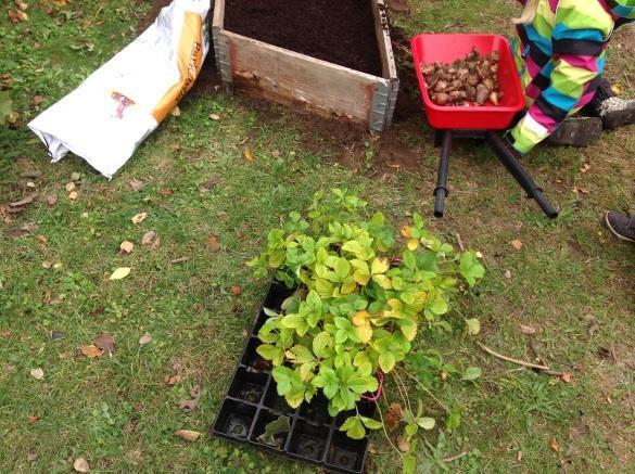 Utegården När vi höll på med vårt projekt märkte vi att intresset hos både barnen och pedagoger var så stort