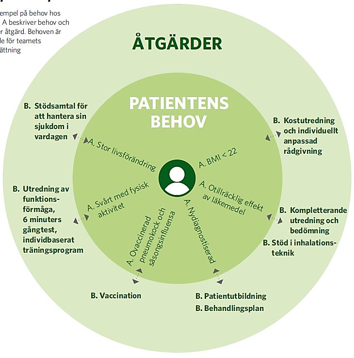 Patientens behov - är