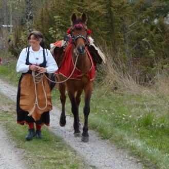 se Guidade turer med häst Njut av en vacker tur i skogar och