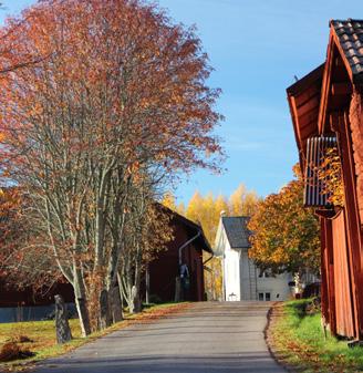 Dala-Floda Operafest I sagolikt vackra Dala-Floda sjungs det opera i varje buske under några dagar i augusti.