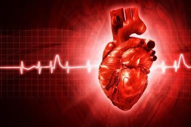 Svetsning och hjärtkärlsjukdom