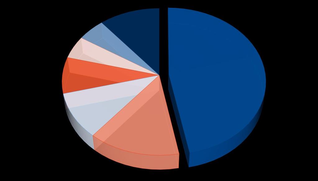 Tinnitus (buller) 5% Övrigt 11%