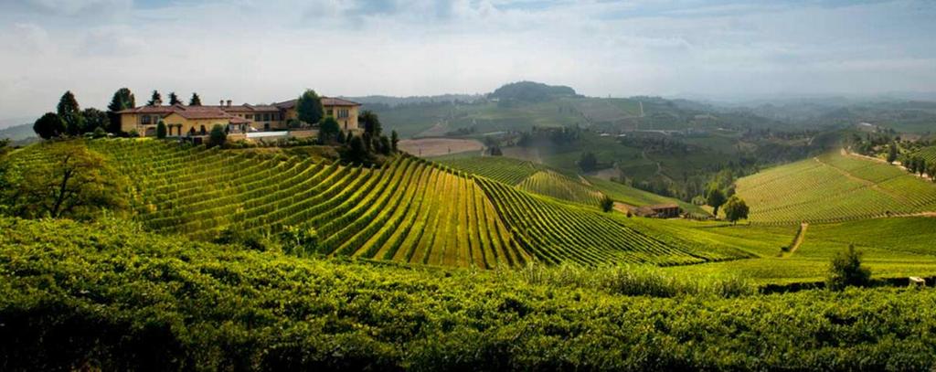 Lördag Sista dagen har vi fått möjlighet att besöka producenten Elvio Cogno som inte bara producerar Barolo-viner som ligger kring