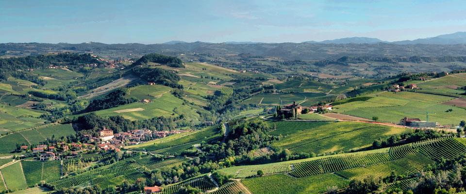 Lunch intas inne i byn Barolo på restaurangen Rossobarolo.