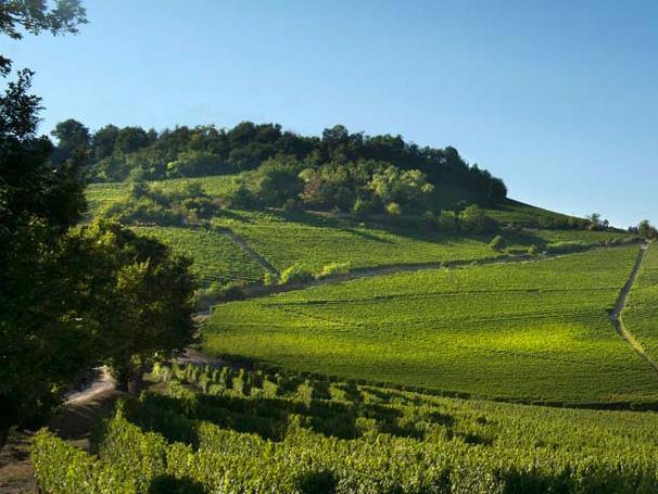 Välkommen att uppleva vindistriktet Barolo i Piemonte, norra Italien. Barolo är sedan 1980 klassificerat som DOCG och åtnjuter den kanske högsta prestigen bland kännare av Italiens viner.