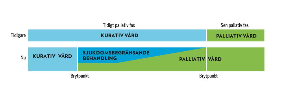 Palliativ vård