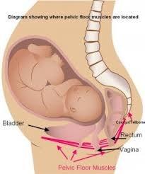 Anamnes GYNEKOLOGI Barnafödande