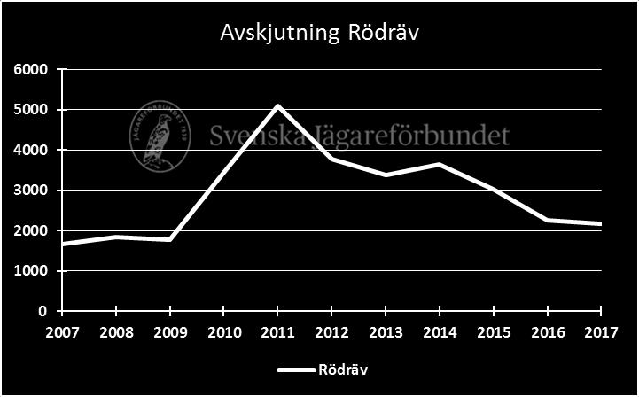 Flest rävar fälldes i Östersund-Bräcke JVK där man i snitt fällde 1,09 rävar per 1000 ha.