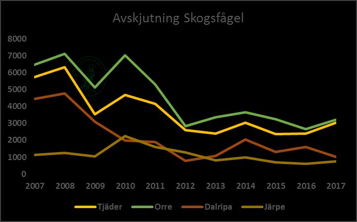 Avskjutning Skogsfågel Avskjutningen av tjäder och orre ökade något jämfört med året innan