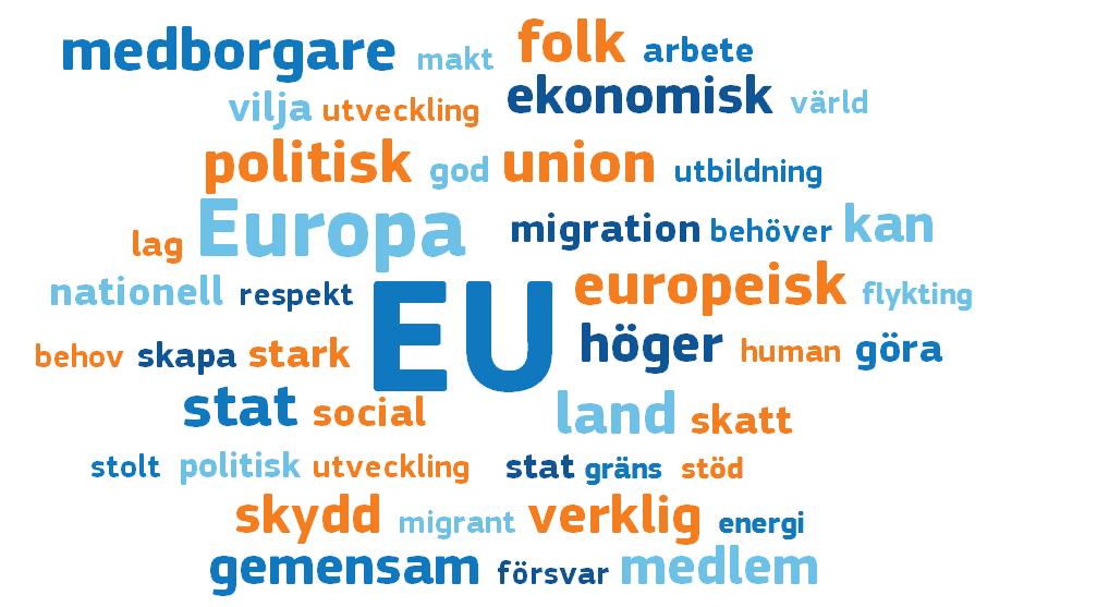 De betraktar EU som ett viktigt sätt att lösa problem. Det finns också oro och frustration. Frågan om vem som ska göra vad kommer ofta upp.