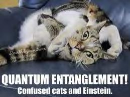 Kvantmekaniska katter?