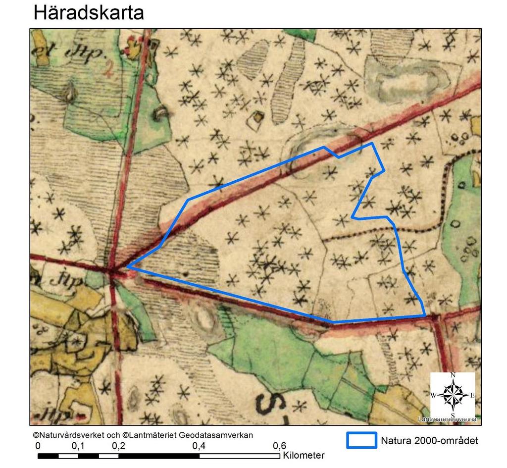 Natura 2000-område Natura 2000-kod Diarienummer Sida 16 av 16 Häradskartan, från slutet av 1800-talet, visar att barrträden (stjärnor) även tidigare har