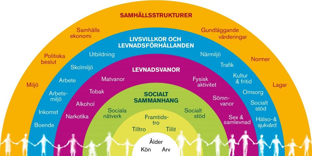 Samspel strukturella faktorer och individuella beteenden Materiella faktorer Socioekonomisk position Psykosociala faktorer Beteende Hälsa Orsakernas orsaker Orsaker Livsvillkor Levnadsförhållande