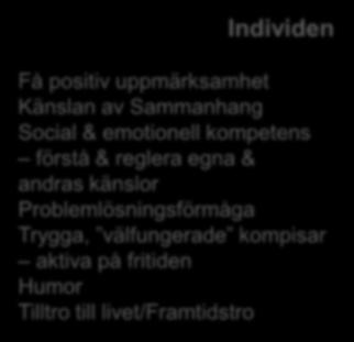 Tilltro till livet/framtidstro Fritiden Fritiden Ingen struktur & Brett utbud av