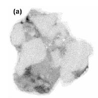 PCB CP Cr Cr ph Redox Me Mineral