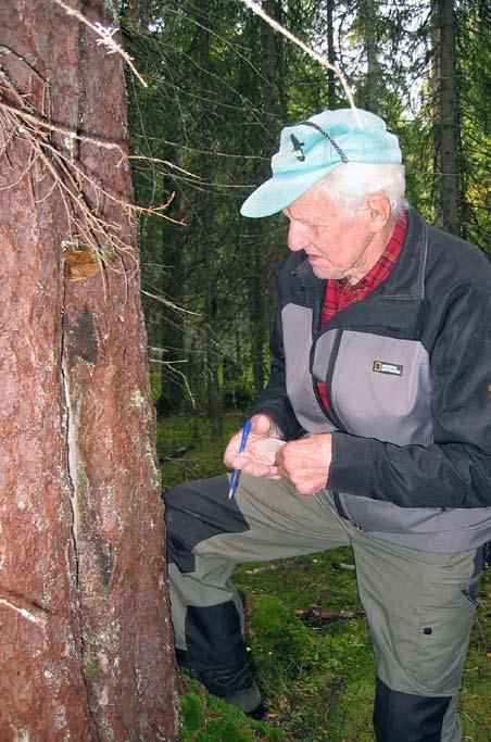 Ingemar tillhör den skickliga skara skogsmän som har blick för detaljer och har förmåga att se sammanhang. Ingemars starka intresse för skog upphörde lyckligtvis inte bara för att han blev pensionär.