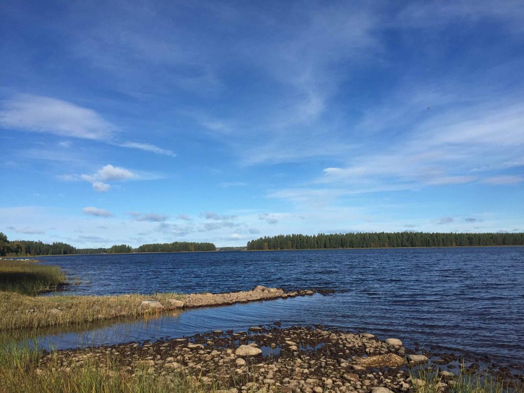 Skog vid Siljan i Gesunda Mora Gesunda 9:1 Naturskönt belägen skogsfastighet vid Gesunda. Delar av fastigheten ingår i Lis-område vilket kan möjliggöra byggnation nära Siljans strand.