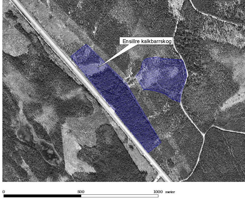 9 11. Kartor Lantmäteriet, 2004. Ur GSD-Terrängkartan ärende 106-2004/188-Y Översiktskarta för Natura 2000-området Ensillre kalkbarrskog. Området finns inom cirkeln. Lantmäteriet, 2004. Ur GSD-ortofoto ärende 106-2004/188-Y Detaljkarta för Natura 2000-området Ensillre kalkbarrskog.