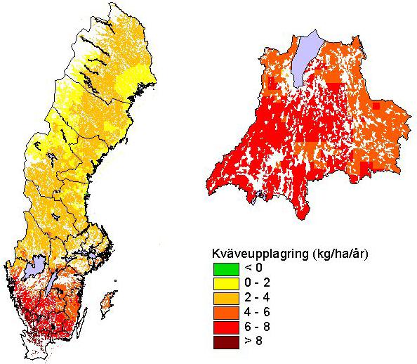 Figur. Kväveackumulering i granskog i Sverige och i Jönköpings län. Färgade områden är alla typer av skogsmark medan vita områden är mark med annan markanvändning.