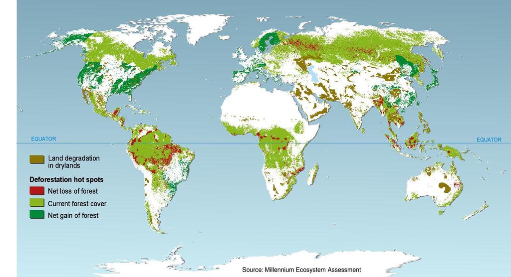 Tropical deforestation magnitude & impacts Physical Resource