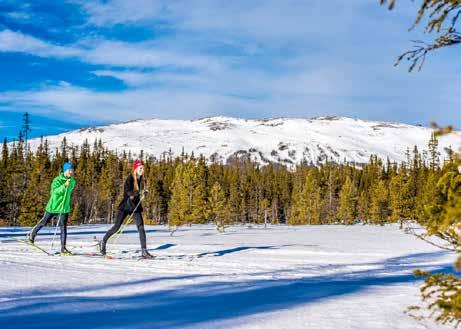 .. Det effektiva snökanonsystemet säkerställer snötillgången från säsongsstart om natursnön skulle vara