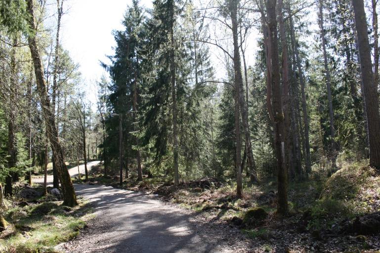 2016-08-12 Beskrivning av området Friluftsområde Lextorp Friluftsområdet i Lextorp är ett mindre skogsområde med barrskog som domineras av gran med inslag av tall i mer höglänta delar och öppna