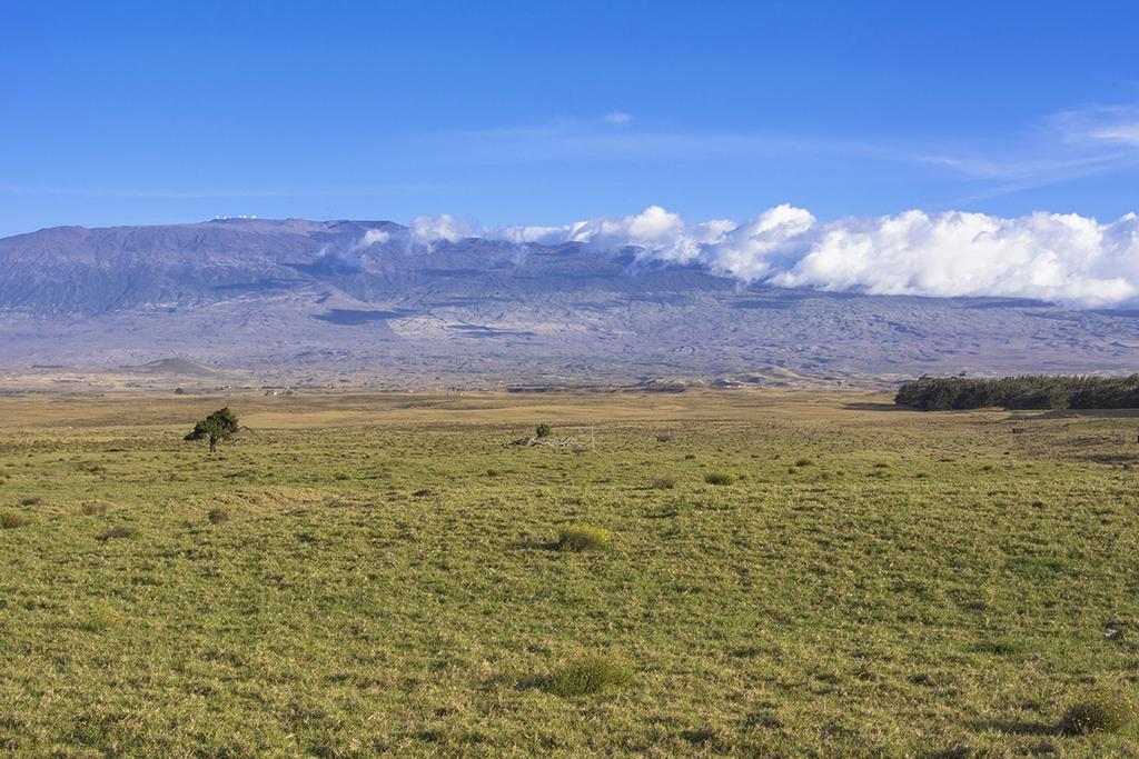 Stratovulkaner som Licancabur på gränsen mellan Bolivia och