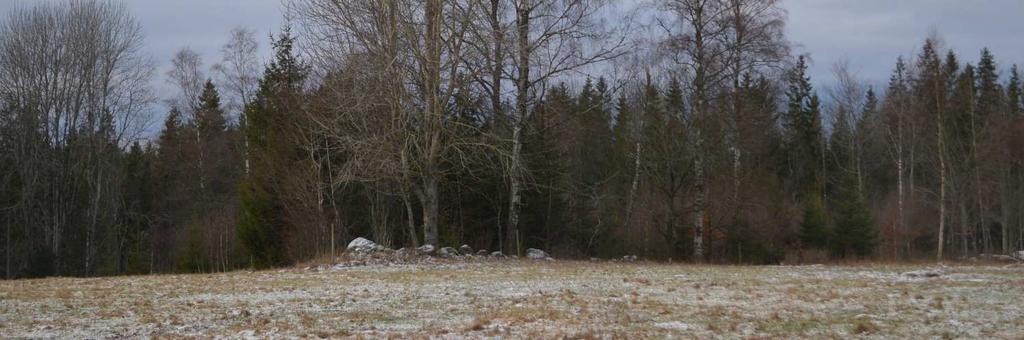 impediment om tillsammans ca 8,9 ha. Övrigt Natur och kultur Inga nyckelbiotoper eller naturvärdeshänsyn finns registrerade på fastigheten.