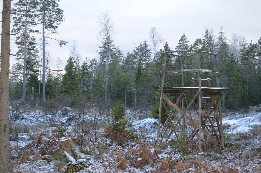 Området kan bilda egen fastighet genom avstyckning eller fastighetsregleras till köparens tidigare ägda fastighet. Säljaren ansöker om fastighetsbildning och svarar för kostnaden för förrättningen.