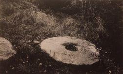 Kvarnstenarna i skogen. Foto: Kalin år 1956. Sköldéns sågverk På vårt återtåg härifrån fortsatte vi vägen förbi granna och välansade timmerhögar till Sköldéns sågverk.