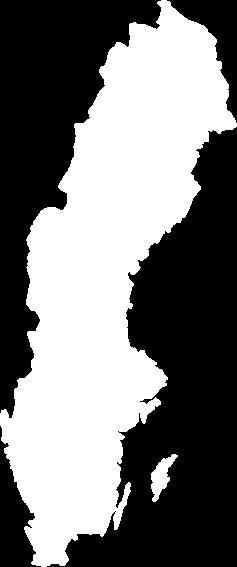 Lions organisation. (vårt distrikt) Klubbar (38 st) Zoner (6 st) Distrikt 101-SM (10 st) 101.