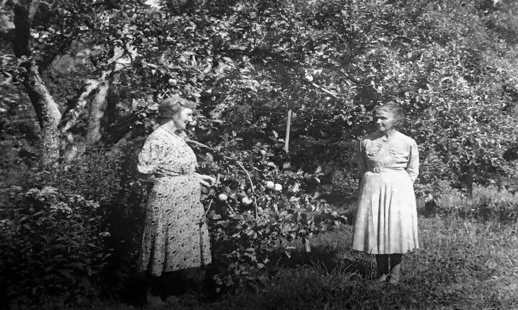 Ekholmen, Sandsberg och Lindsberg i Tolja i mitten av 1900-talet. I bakgrunden syns Ekelund. Ruth och Märtha Lind i trädgården på Ekholmen. 6.