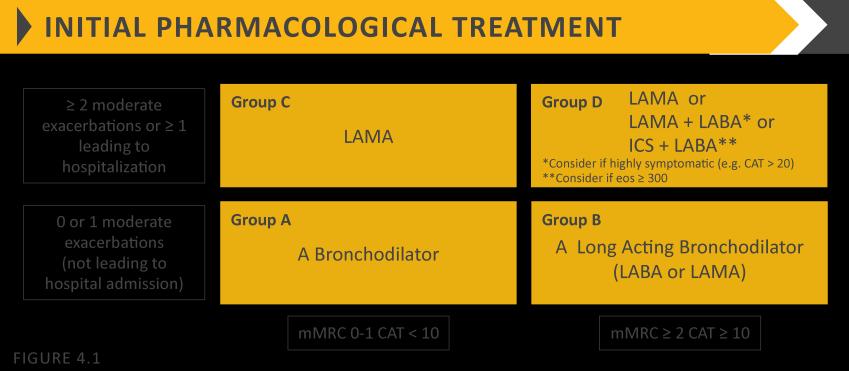 Research Council dyspnea questionnaire; CAT :