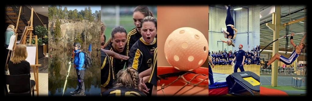 SIG1000, v4.1, 2015-11-12 1 (13) Normer för kultur- och fritidsbidrag fr.o.m. 2019-01-01 1.