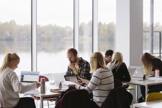 FUNKTIONSNEDSÄTTNING Enligt diskrimineringslagen (2008:567): Varaktiga