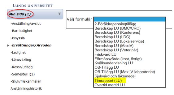 2019-02-05 7(9) Om en timavlönad har mer än en intermittent överenskommelse finns dessa i rullistan välj anställning.