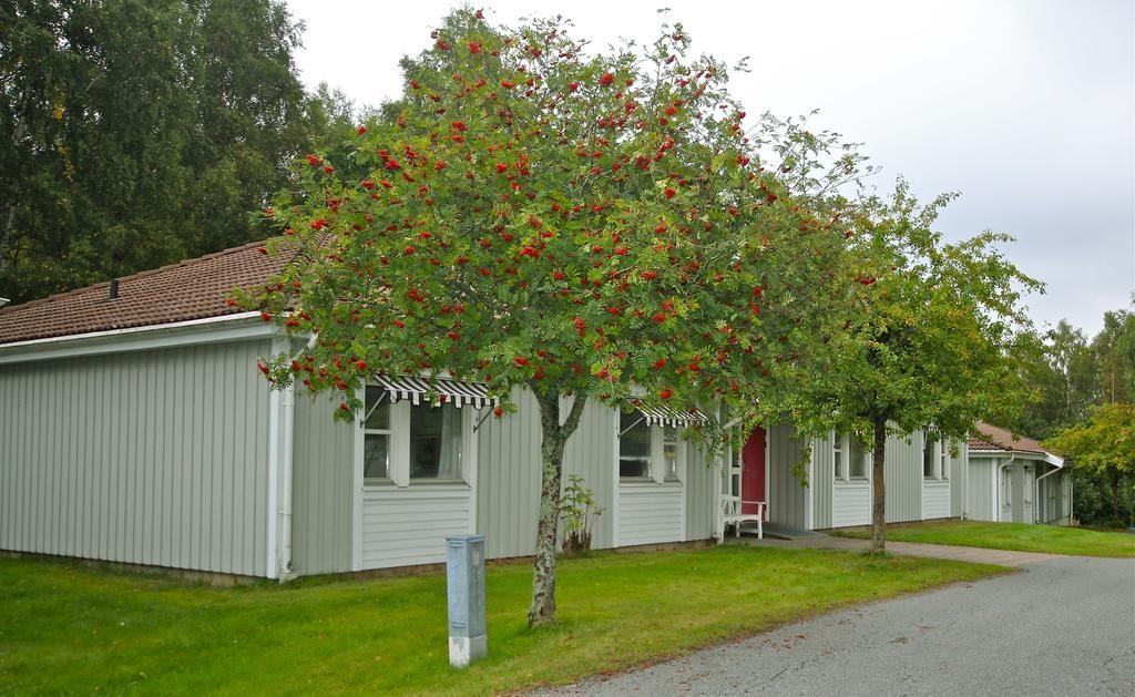 Förslag på aktiviteter: Göteborg/Liseberg Karlsborgs Fästning Salta bad Äta räkor Havets hus i Lysekil Fjällbacka