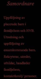 I samband med Karlskronaärendet (Yarafallet) gick man igenom dessa processer och har förnyat denna organisation samt stramat upp alla rutiner.