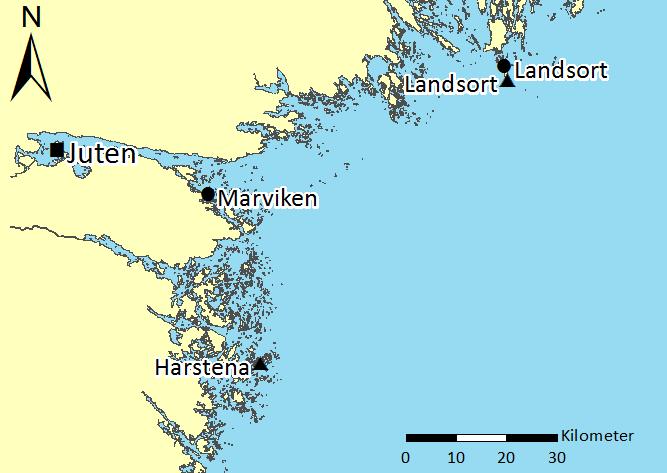 3.2 Återkomstvärden 3.2.1 Observationer i Norrköpingstrakten Sjöfartsverket har mätningar av vattenstånd vid Juten inne i Bråviken strax utanför centrala Norrköping.