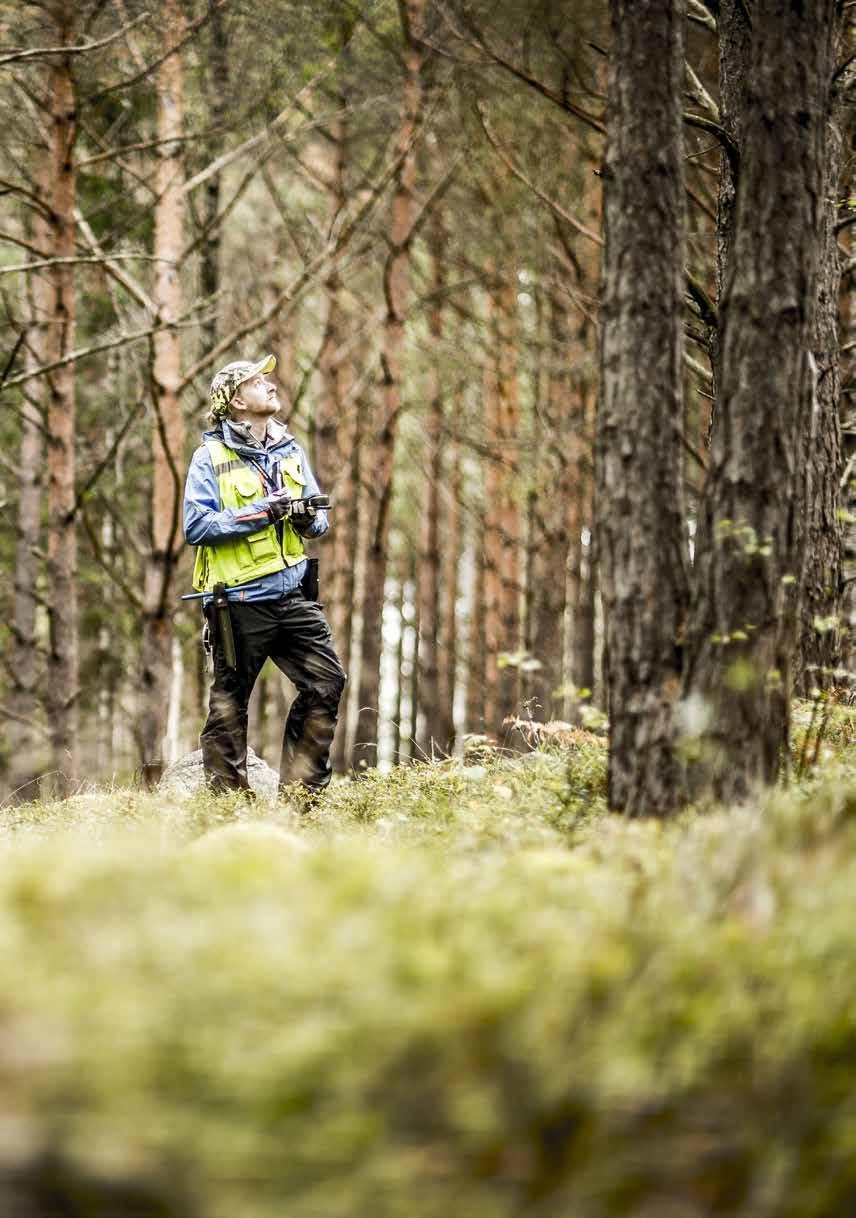 För en levande landsbygd Skogsbruket har stor regional betydelse och skapar sysselsättning i glest befolkade områden.