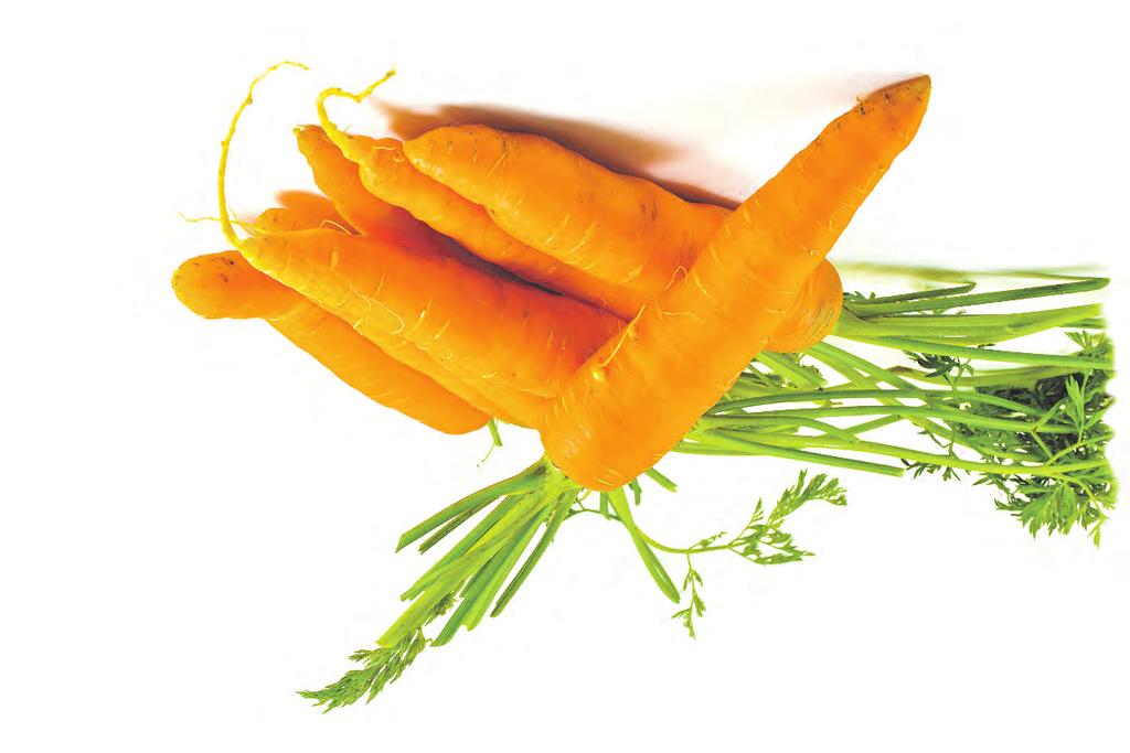 TESST TESST (Testbed för Evironmentally Sustainable Seed Treatment) är ett projekt som drivs av Lantmännen Bioagri.