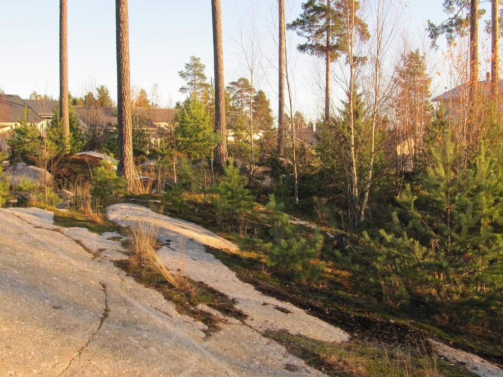 Skogsbergsvägen. Bild 4.