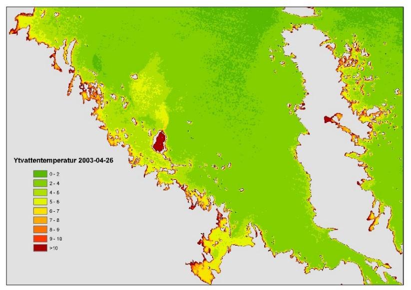 Figur 4b. Satellitbild som illustrerar ytvattentemperatur i Öregrundsgrepen år 2003. I mitten av bilden syns Biotestsjön med förhöjda vattentemperaturer (rött).