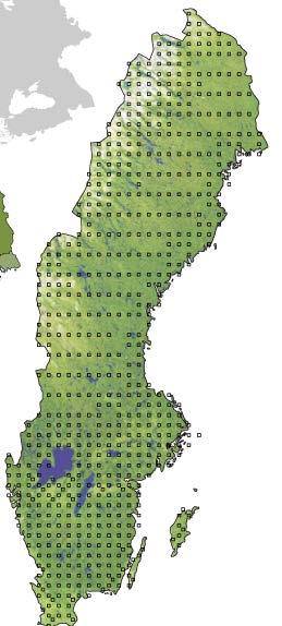 Exempel på urval i 5x5 km-ruta i