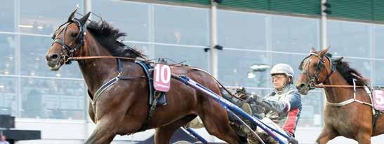 BELIEVE IN FATE* (DK) 0:, M,9 AK Total: 9-- 7.9,r.s.e Quite Easy U.S. - 9: 0 0-0-0 : 7 --, 9.