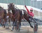 Monsteruppvisning av Lugars ampo Bahia i Dery Trial, av tre vinnare för onni. Segercomeack för Johnny Takter.