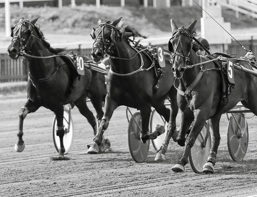 Salladsbuffé kaffe, kaka Pris: :- info@skellefteatravet.